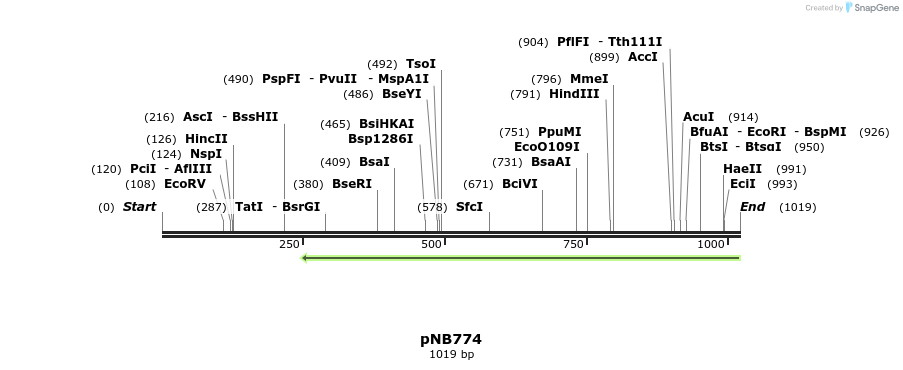 98251_map