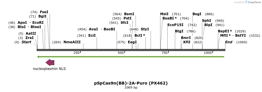 98258_map