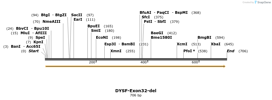 98263_map