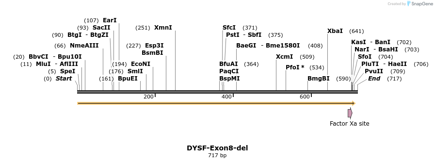 98265_map