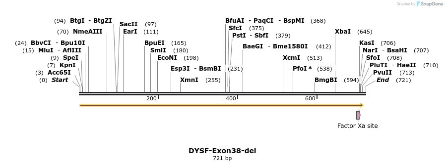 98272_map
