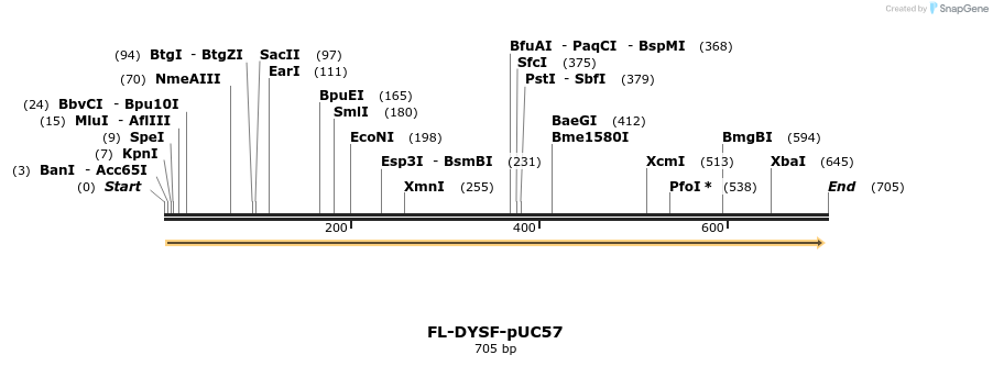98277_map