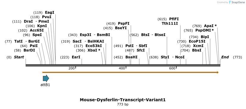 98283_map