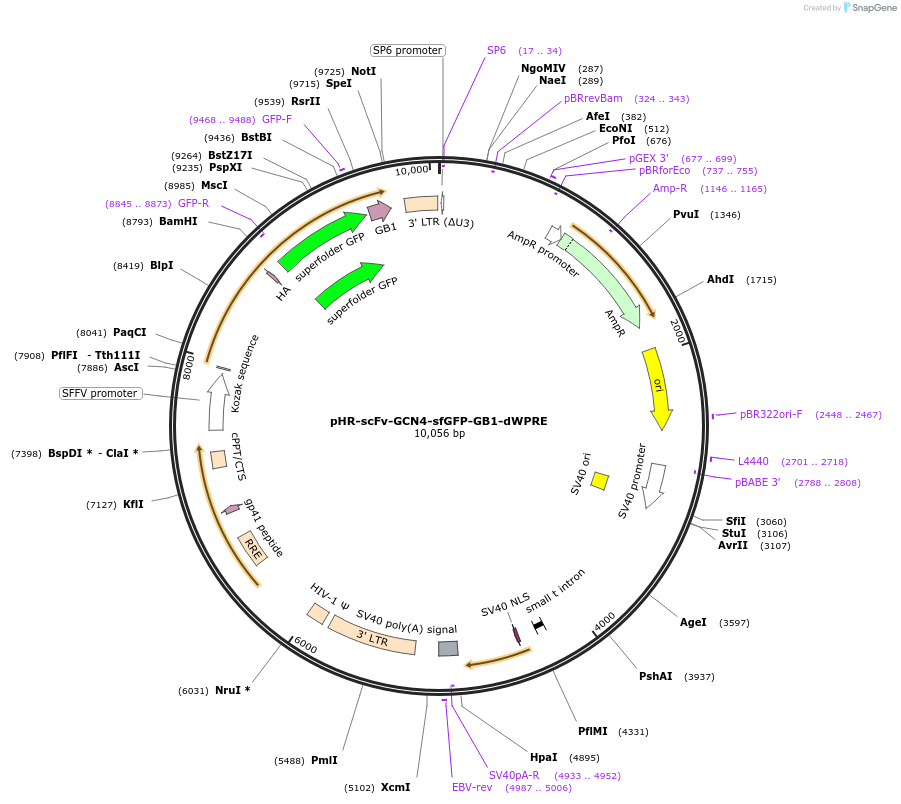 98291_map