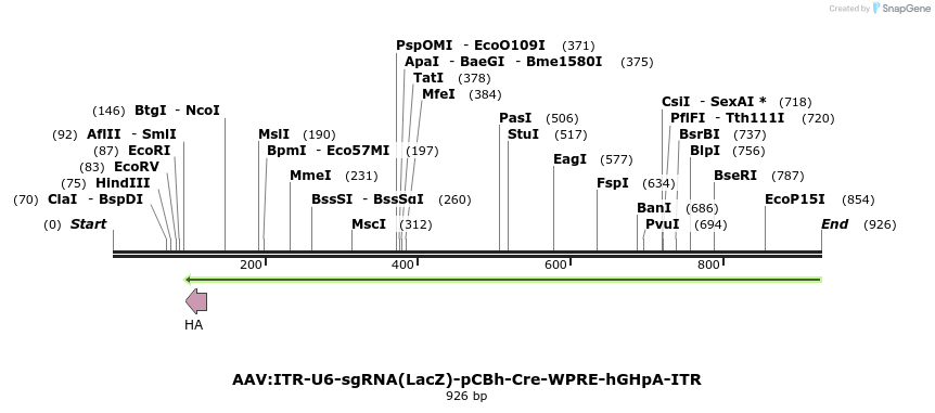 98301_map