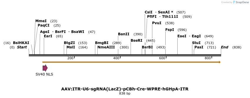 98302_map