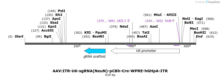 98304_map