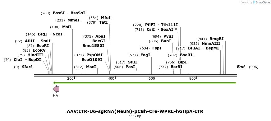 98305_map