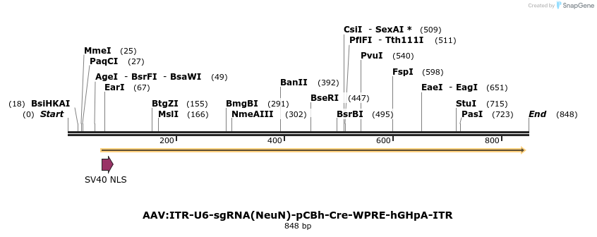 98306_map