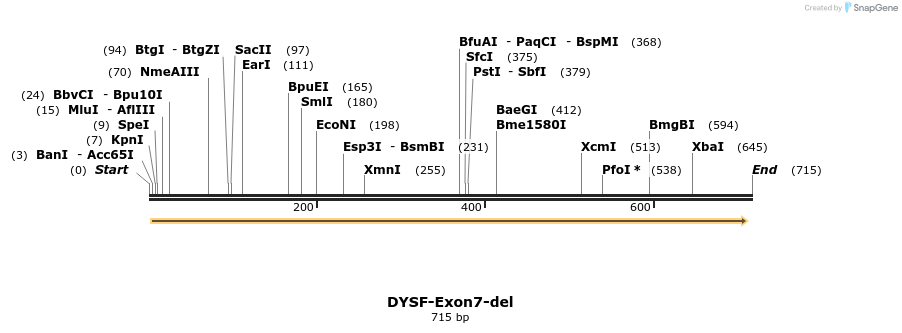 98308_map