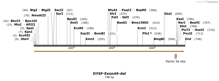 98309_map