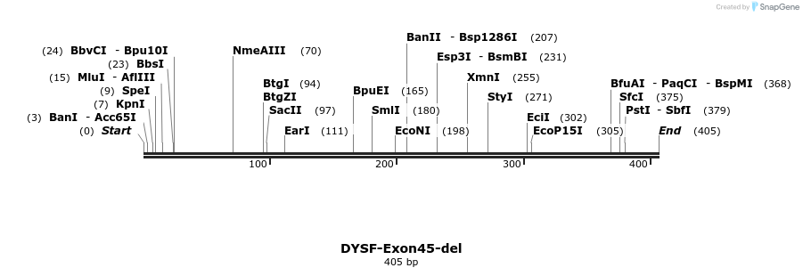 98311_map