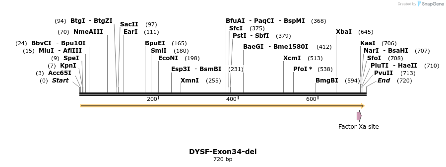 98312_map
