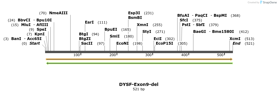 98314_map