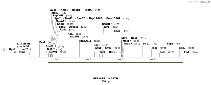 98329_map