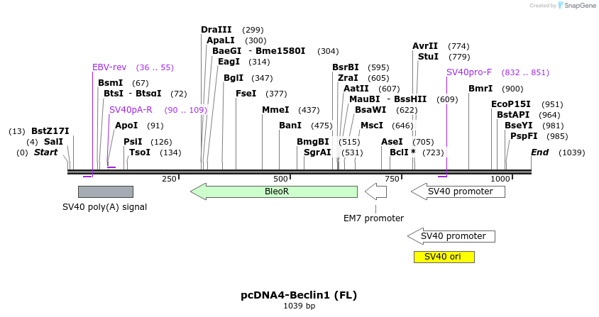 98330_map