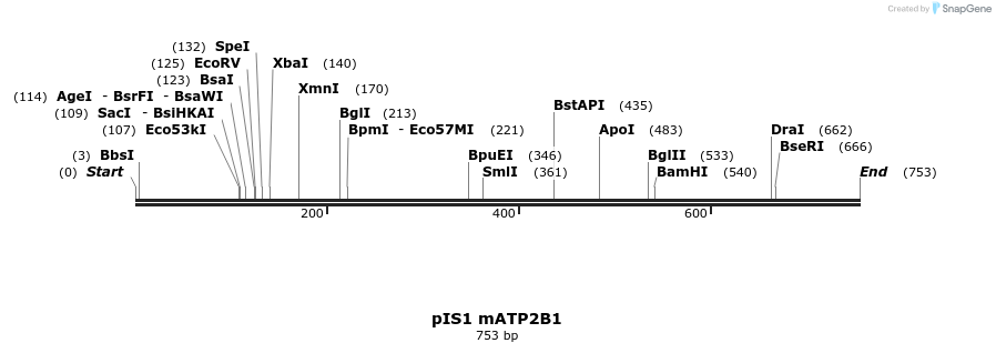 98331_map