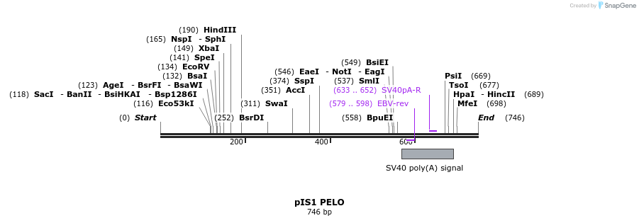 98332_map