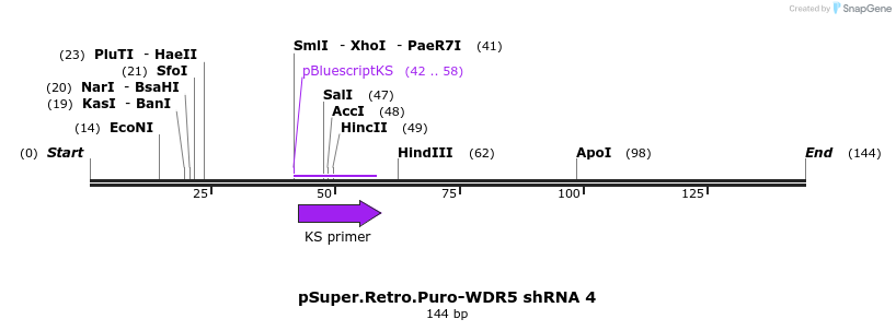 98333_map