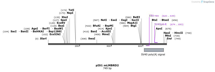98334_map