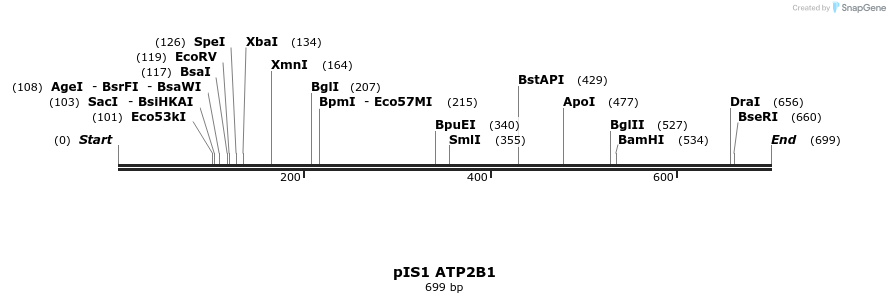 98335_map