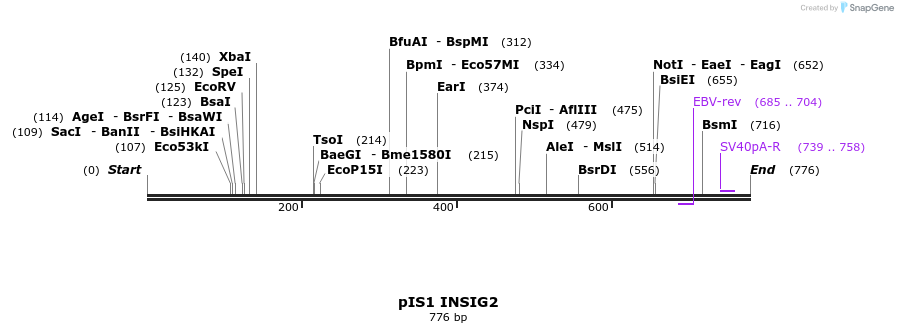 98338_map