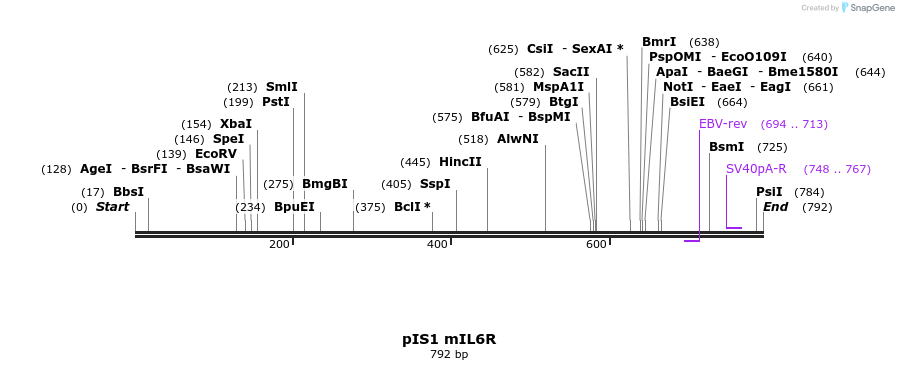 98339_map