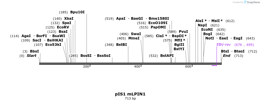 98342_map