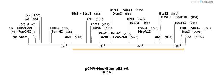 98343_map