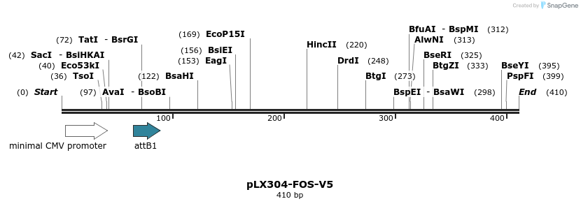 98345_map