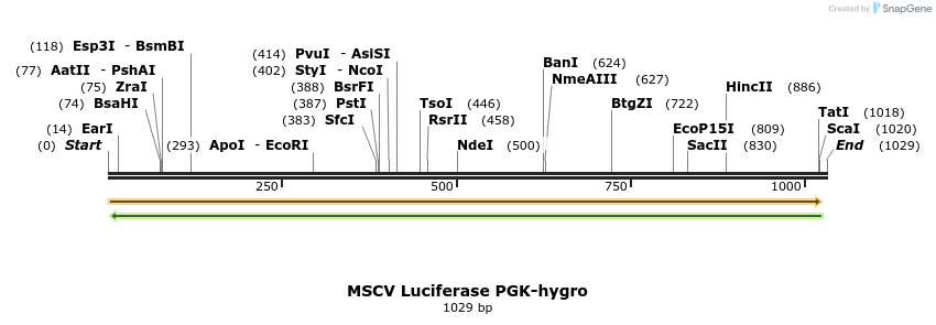 98347_map