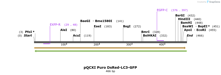 98350_map