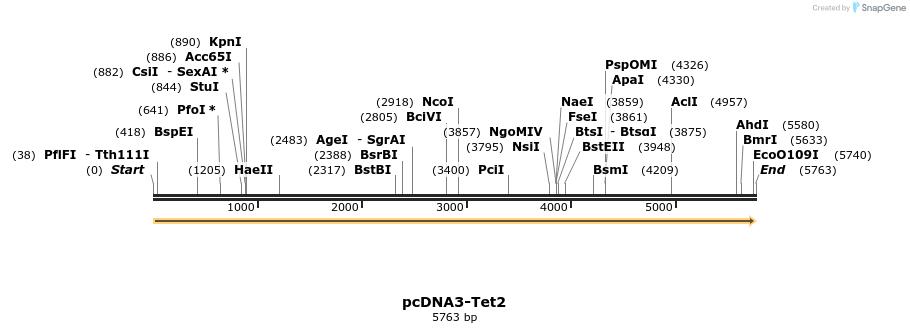 98354_map