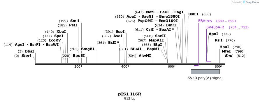 98359_map