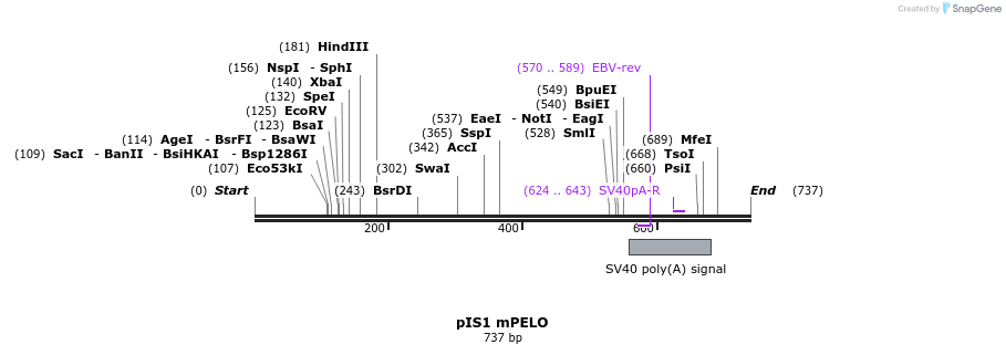 98360_map