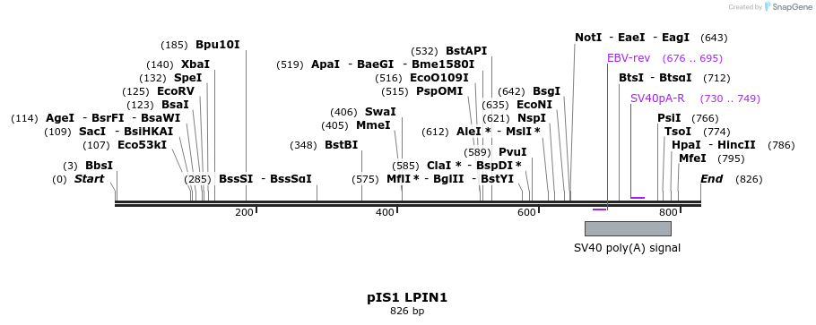 98366_map