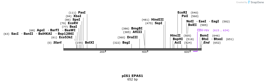 98369_map