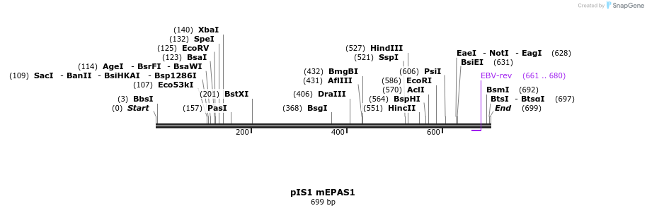 98370_map