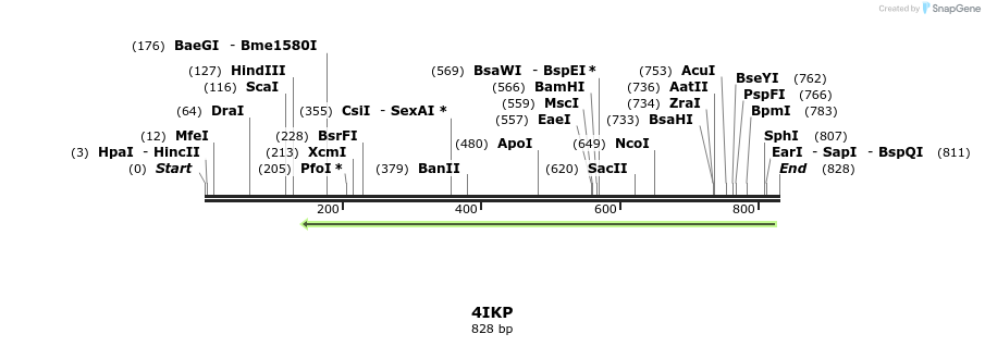 98372_map