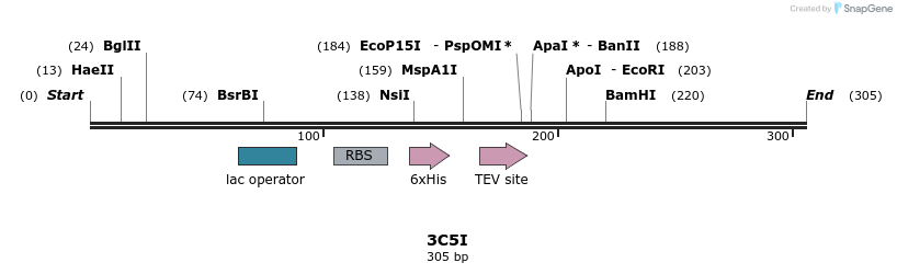 98375_map