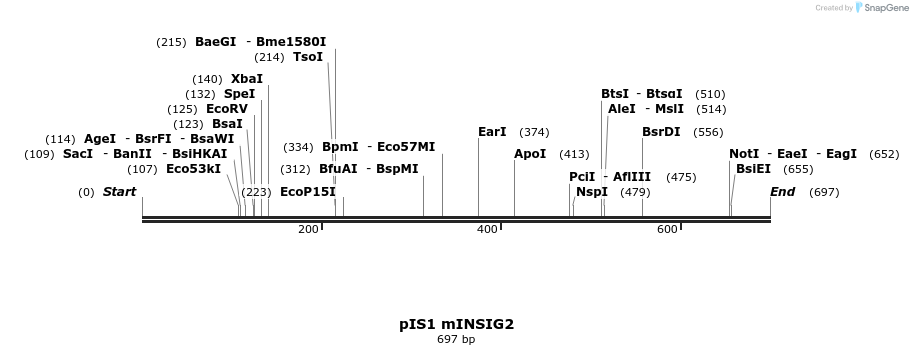 98376_map