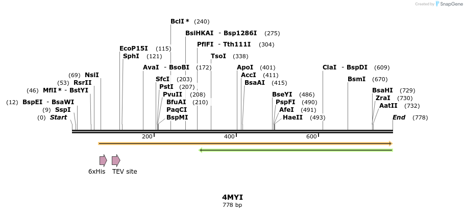 98381_map