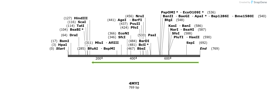 98382_map