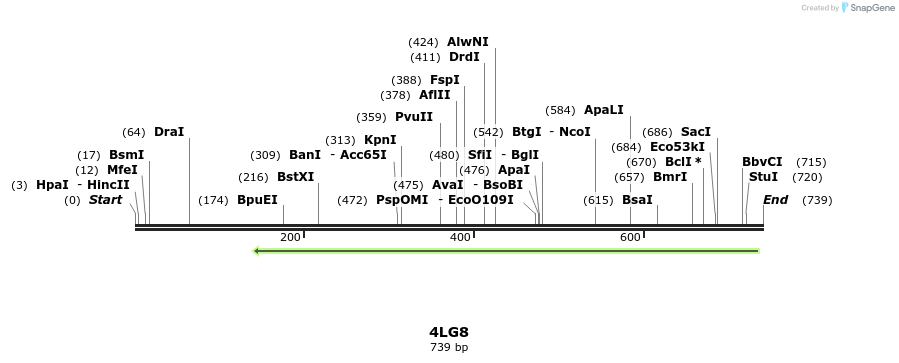 98384_map