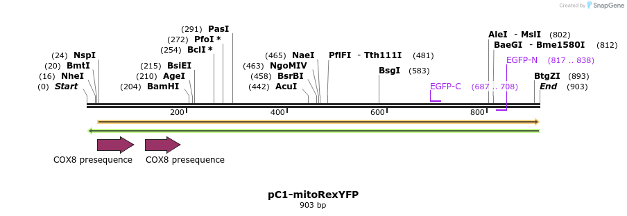 98386_map