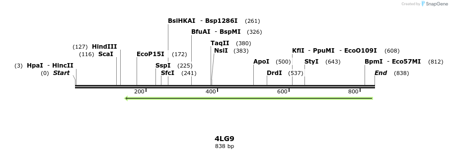 98387_map