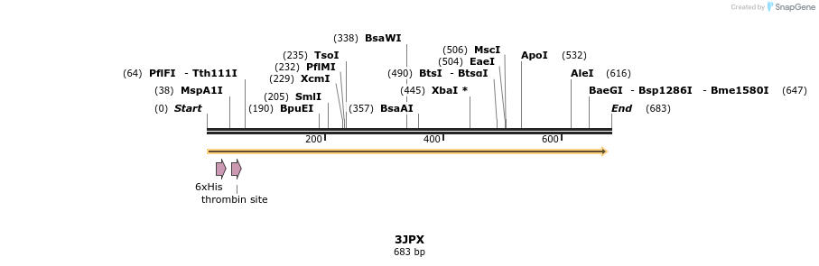 98390_map