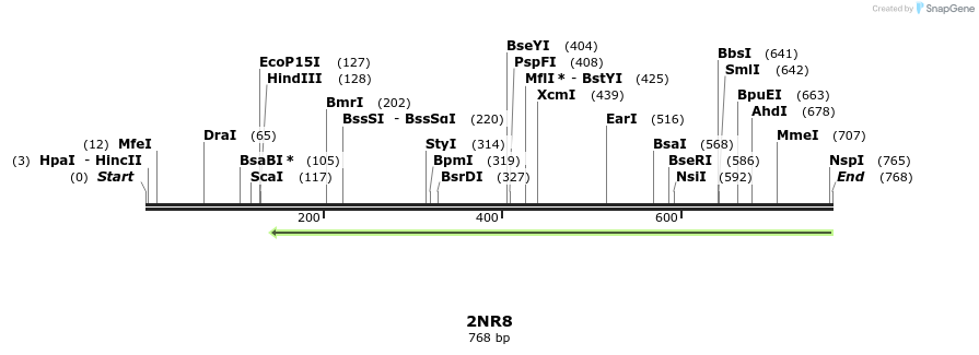 98394_map