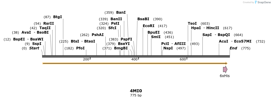 98396_map