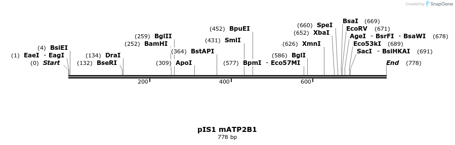 98397_map